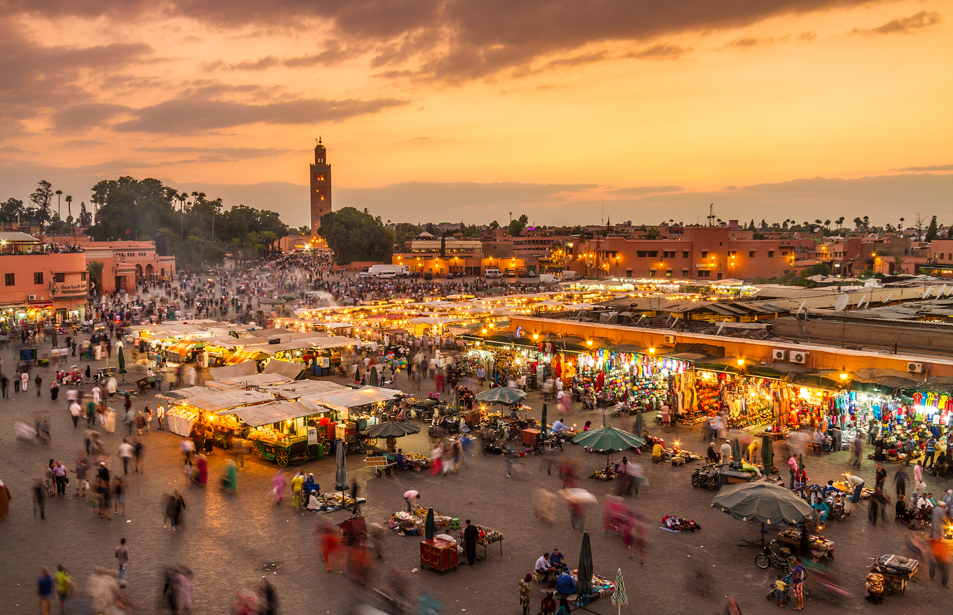 tours from marrakech