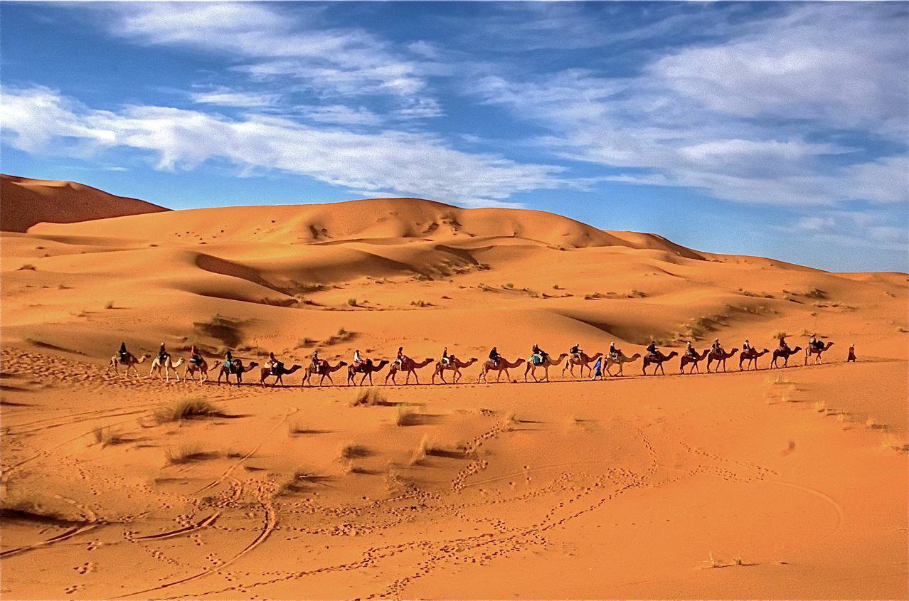 ECO-TOUR OF THE DESERT AND VALLEYS