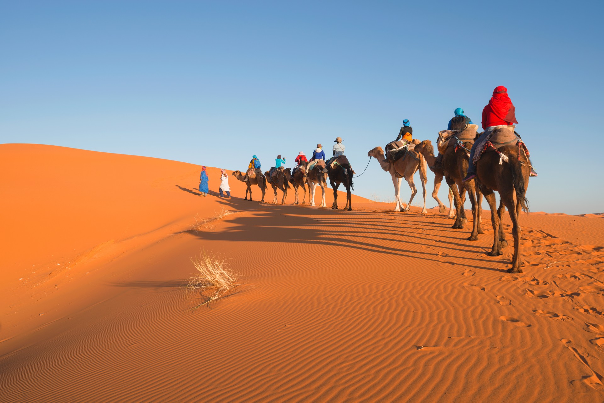 3 Days Tour From Mhamid To Desert Of Erg Chegaga - Nomadic Experience, JEEP & CAMEL